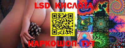 дмт Коломна
