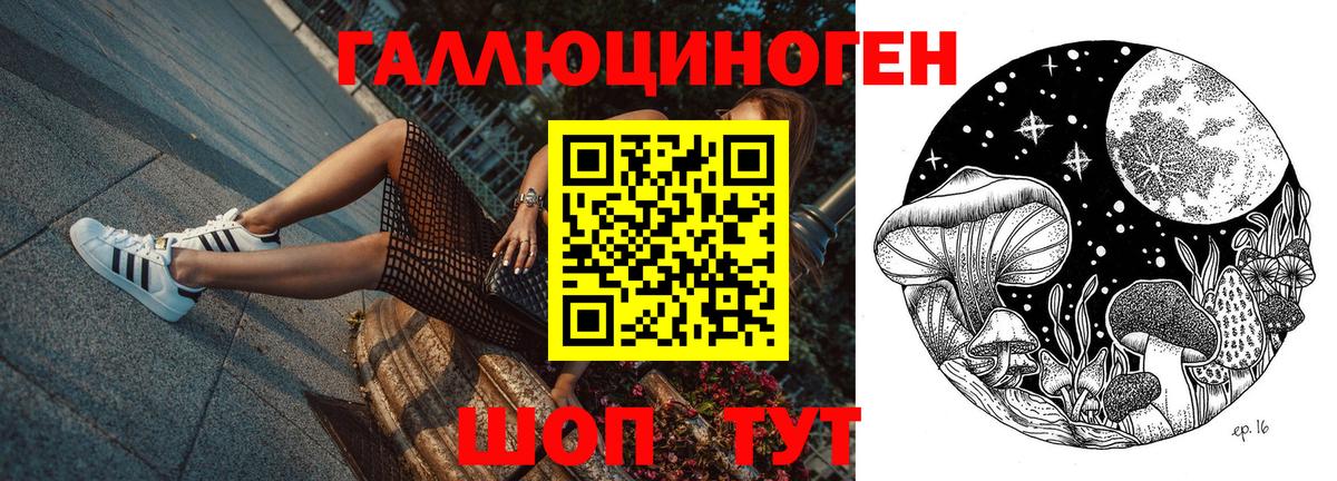 Галлюциногенные грибы Psilocybe Саянск